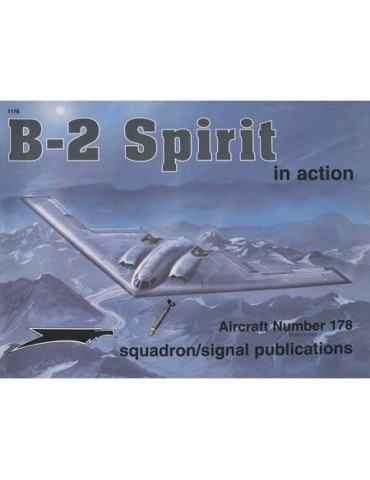 1178 - B-2 Spirit in Action